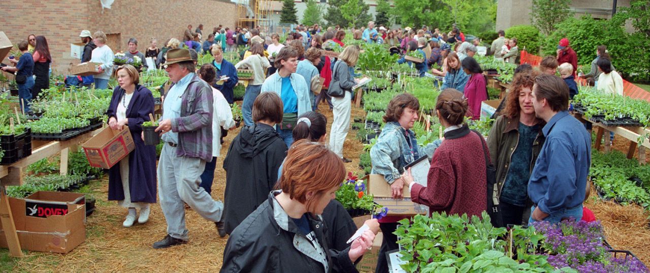 Many people shopping for plants outside, straw on the ground