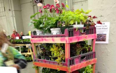 Colorful hand-made cart full of plants